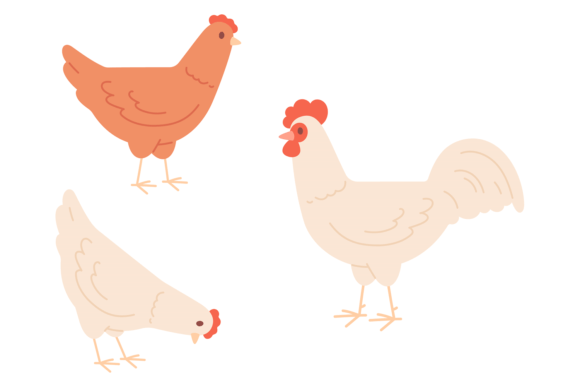 Chickens Walking Farm Birds: A Colorful Icon for Creative Projects