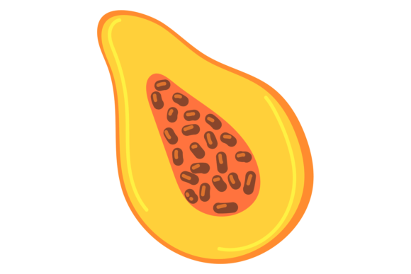 Papaya Color Icon: The Vibrant Symbol for Creative Projects